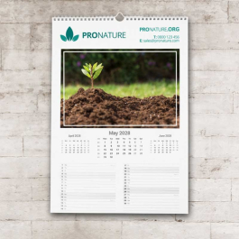 Calendars
