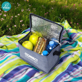 Cooler & Lunch