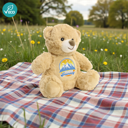 Sustainable Toys and Games