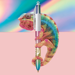 BIC Products