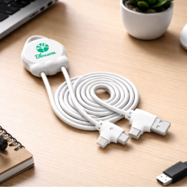 Sustainable Technology
