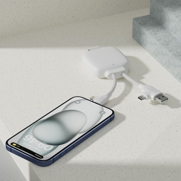 Gamma Lite Hybrid Charge Cable/ 3000 mAh Power Bank with Express Delivery