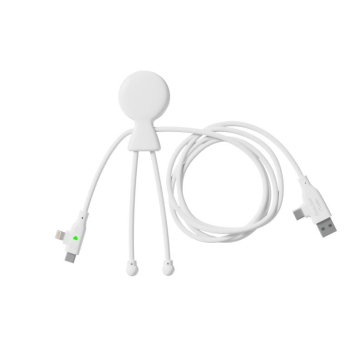 Mr Bio Long Fast Charging Cable 60W with Express Delivery