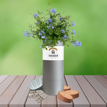 Desktop Tube Garden with Seeds