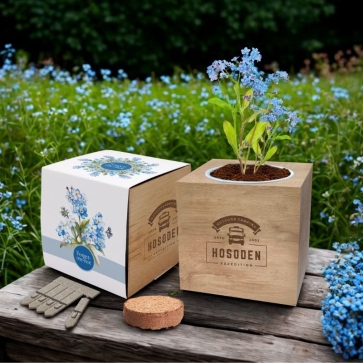 Desktop Cube Gardens 