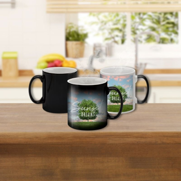 Heat Change Mug
