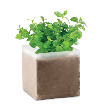 Mint Seed and Compost Bag