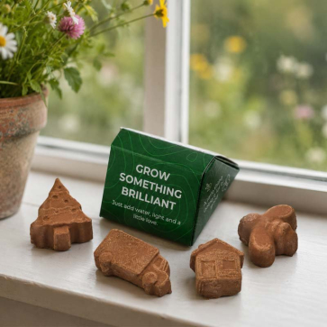 Mini Seed Bomb Box