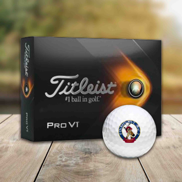 Titleist Pro V1 Golf Ball