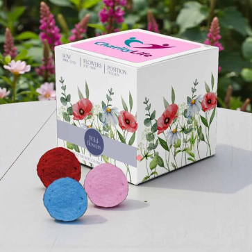 Essentials Rainball Seed Cubes