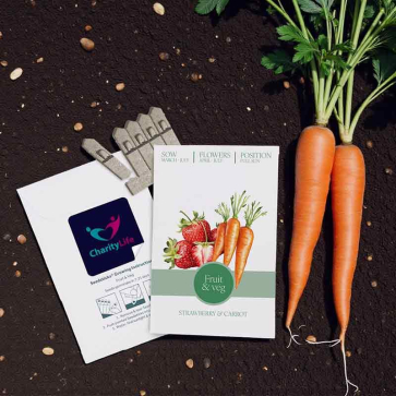 Essentials Seed Packet Envelopes