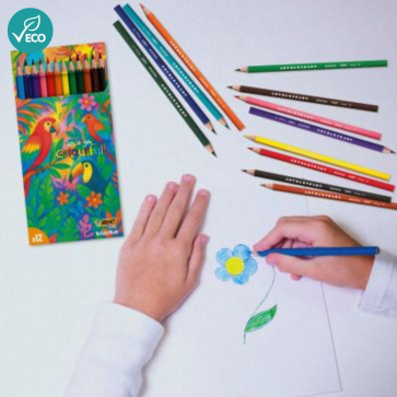 BIC® Kids Evolution® Colouring Set of 12 Pencils