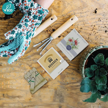 Small Essentials Seedsticks® with Express Delivery