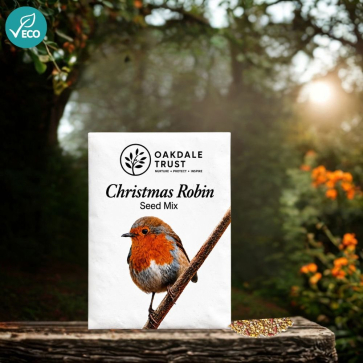 Christmas Robin Seed Mix 40g