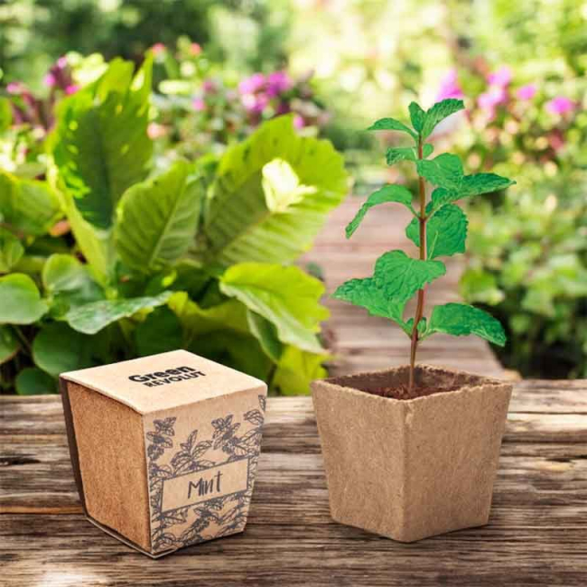 Grow Your Own Mint Kit | Pellacraft | Promotional Merchandise