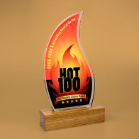 Standard Shaped Acrylic Awards With Wood Base