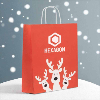 Gift Paper Bag Large