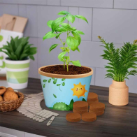 Desktop Cup Seed Garden