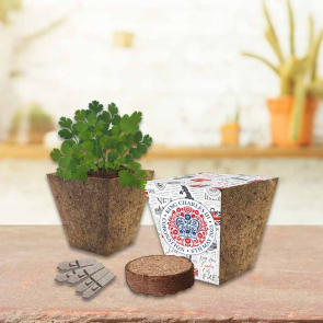 Bio Pot Gardens with Seeds