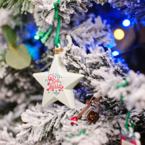 Christmas Eco-Ration Plus 3d Star