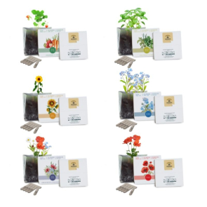 Essentials Letterbox Gardens