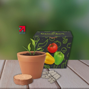 Recycled Pot Gardens with Seeds