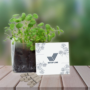 Letterbox Gardens