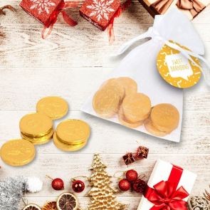 Organza Bag - Chocolate Coins