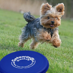 Orbit Recycled Plastic Frisbee 