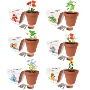 Essentials Clay Pot Gardens