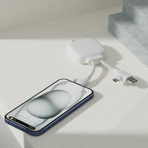 Gamma Lite Hybrid Charge Cable/ 3000 mAh Power Bank with Express Delivery