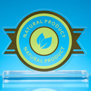 Recycled Acrylic Bespoke Award