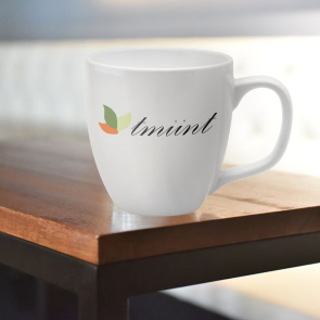 Belfast Eartherware Mug 495ml
