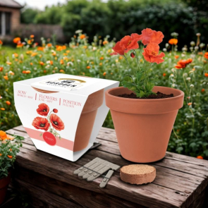 Essentials Clay Pot Gardens