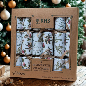 Plantable Christmas Crackers (6 pack)