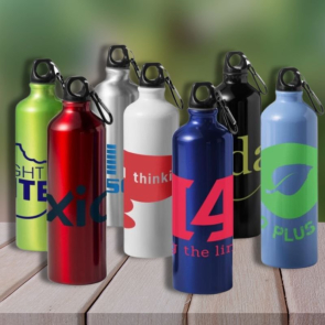 Oregon 770 ml Aluminium Water Bottle With Carabiner