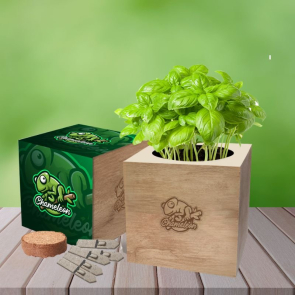 Desktop Cube Gardens