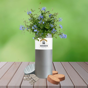 Desktop Tube Garden with Seeds