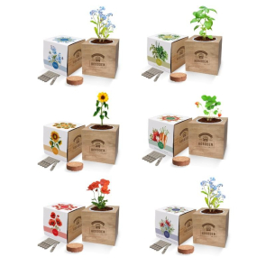 Desktop Cube Gardens 