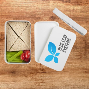 MIYO Pure Single Layer Lunch Box