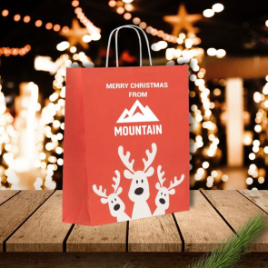 Gift Paper Bag Large