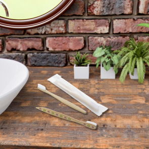 Bamboo Toothbrush 