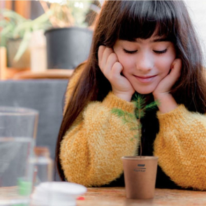 Grow Your Own Pine Tree Set