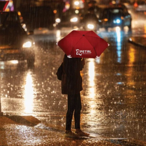 Safe Umbrella Mini with LED Light