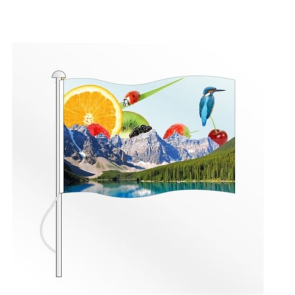 Digitally Printed Flag