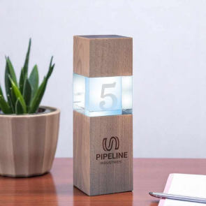 Wood & Optical Crystal Square Column Award 20cm