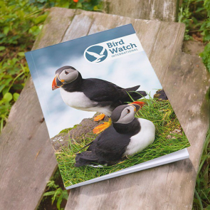 Enviro-Smart Full Colour A5 Notebook