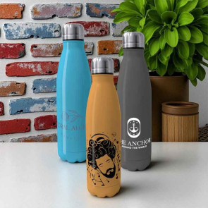 Pantone Matched Eevo Insulated Steel Bottle 500ml