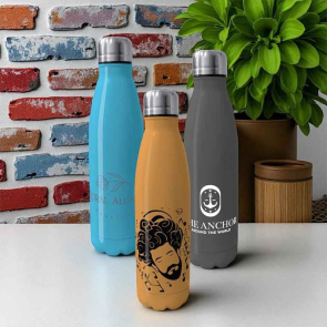 Eevo Pantone Matched Insulated Steel Bottle 500ml