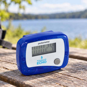 Pedometer